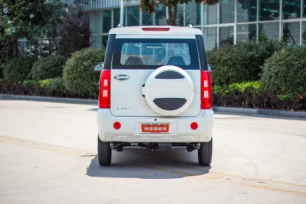 Haibao Ruiqi RHD & LHD Electric Vehicle New Energy Hatchback EV Car