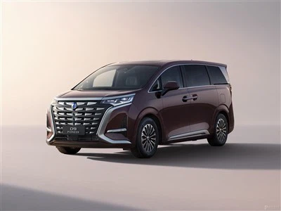Denza D9 Pioneer Four Seats Luxury MPV